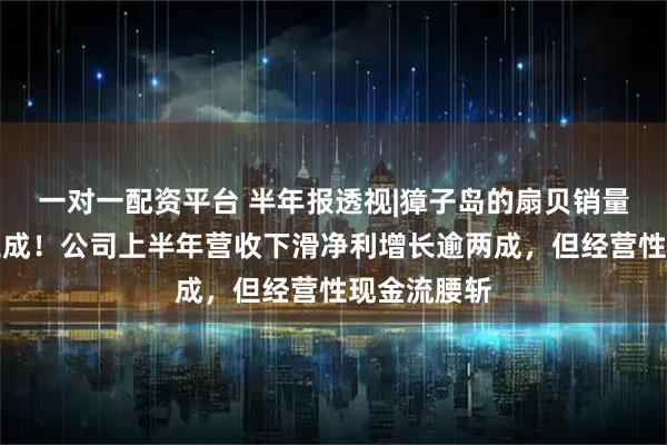一对一配资平台 半年报透视|獐子岛的扇贝销量同比下降三成！公司上半年营收下滑净利增长逾两成，但经营性现金流腰斩
